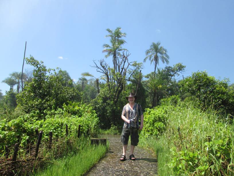 im Rainforest National Park